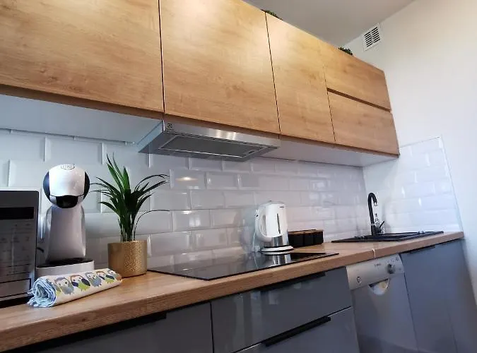 Appartamento Starowka Welcome *